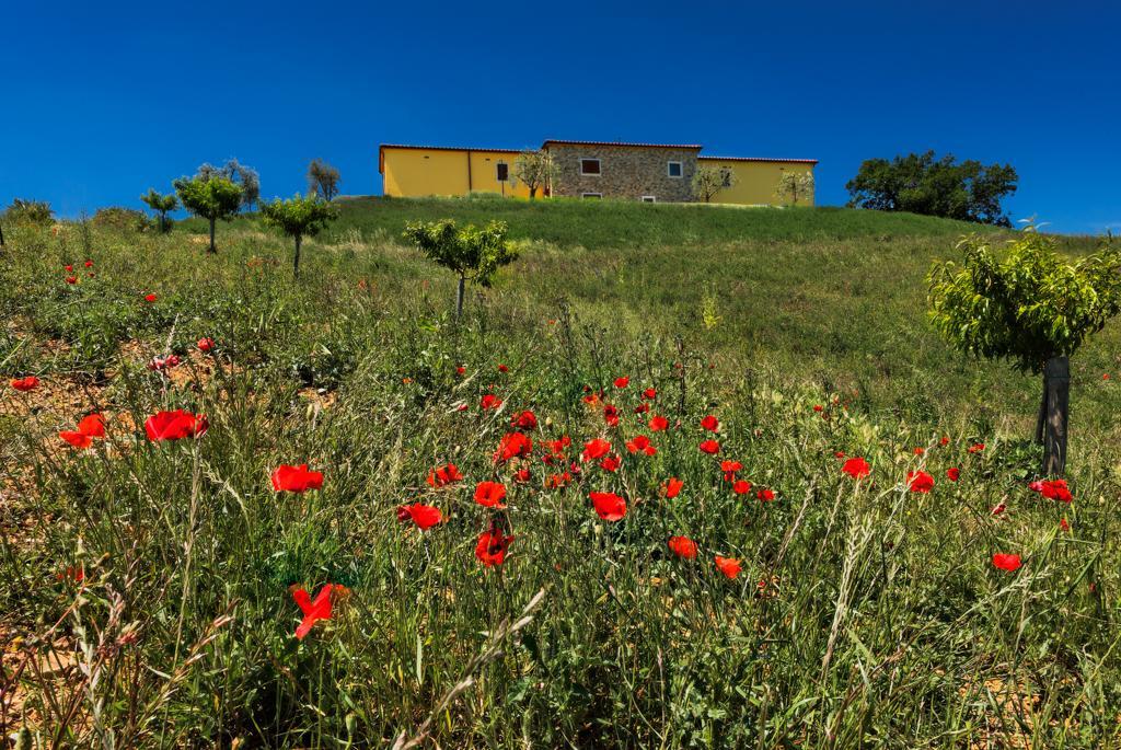 Agriturismo Poggio Mirabile Manciano Esterno foto