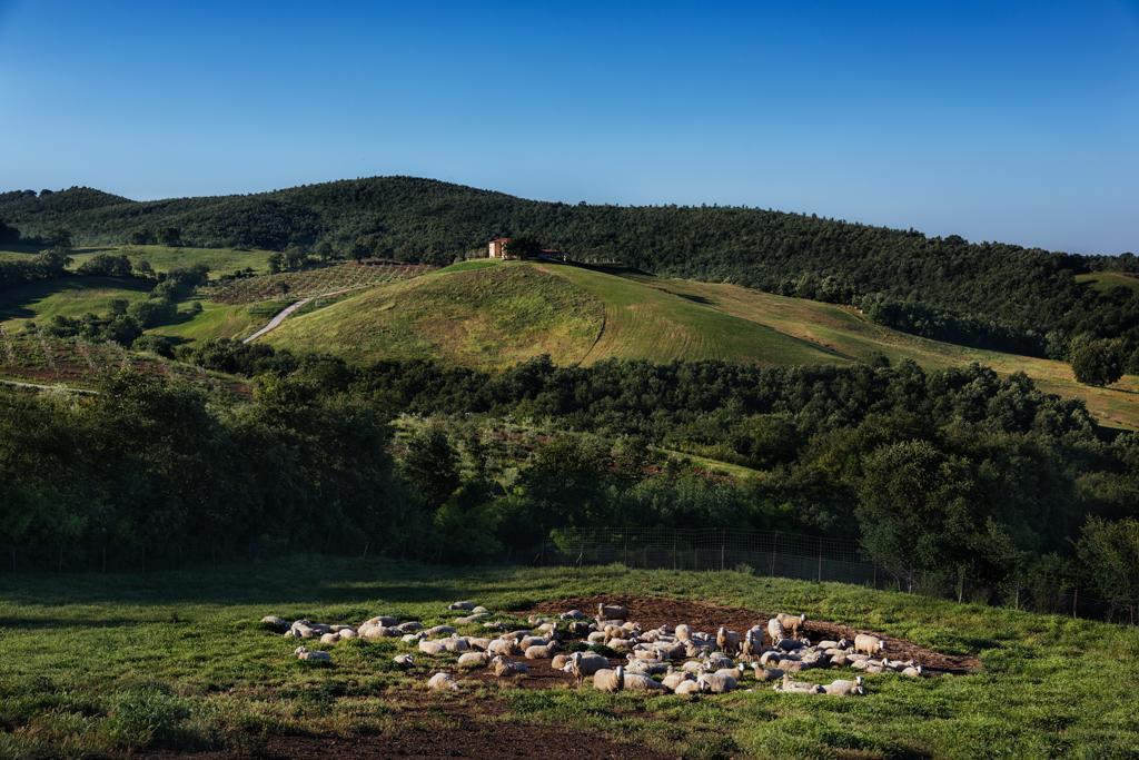 Agriturismo Poggio Mirabile Manciano Esterno foto